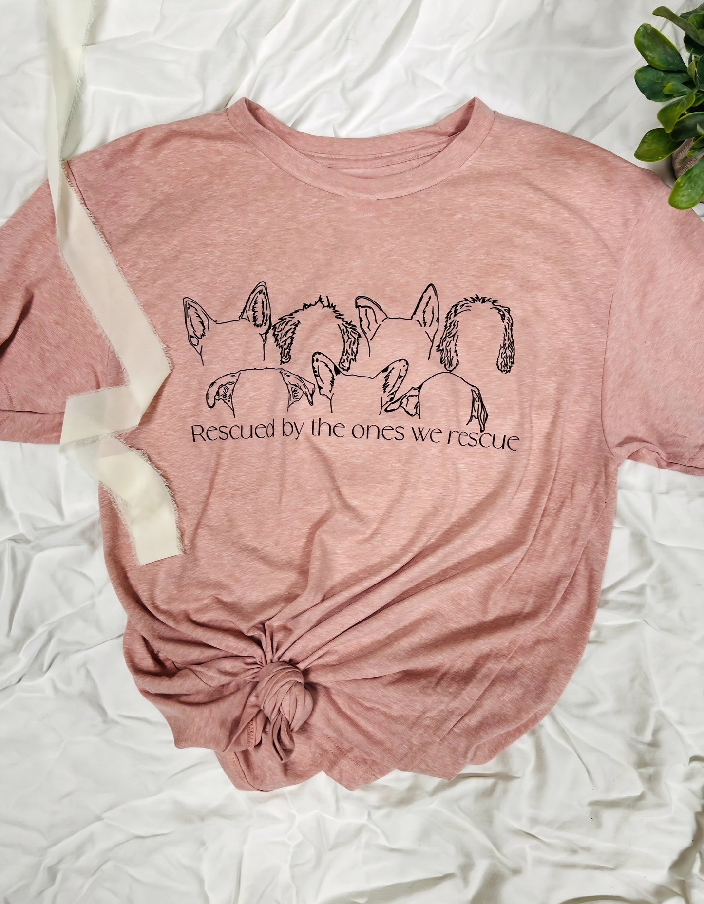 Rescued by the Ones We Rescue